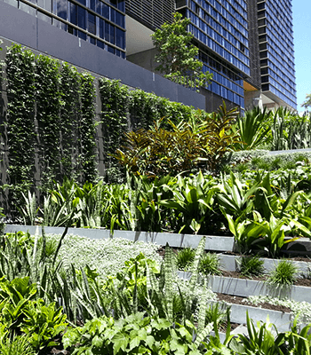 One Central Park, Green Facade, Sydney